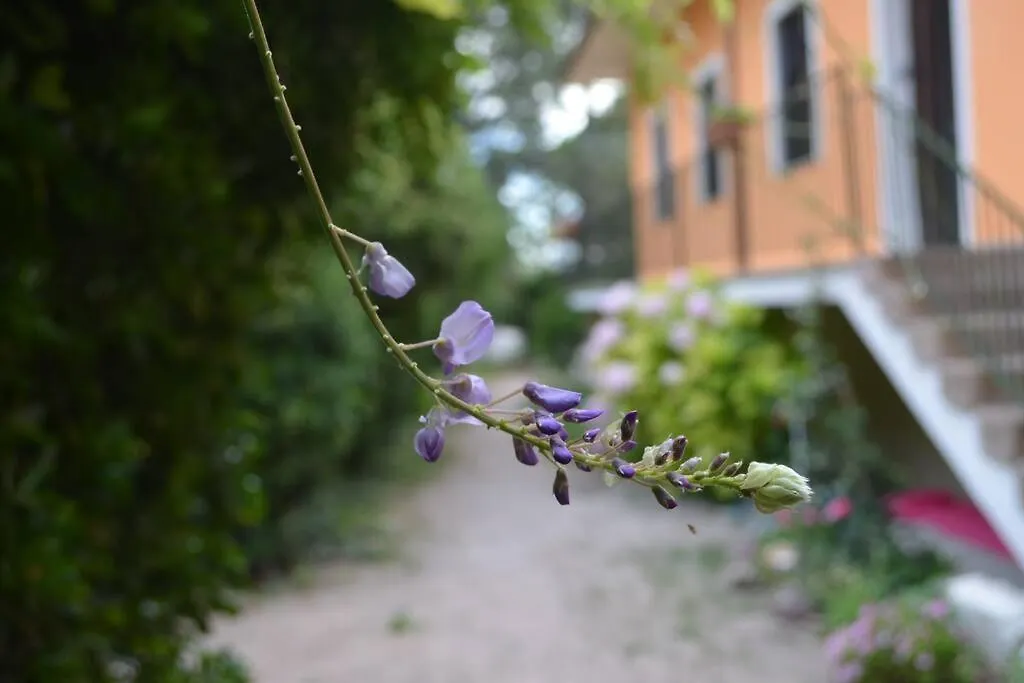 Apartament Portocielo Yoga E Mare Nulvi